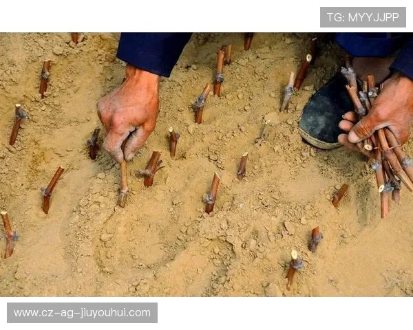 全程详解足球袋正确使用步骤与实操图解示范综合技能提升指南教程